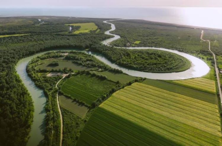 The estuary of the Shkumbin river near the village of Vilë Bashtovë.